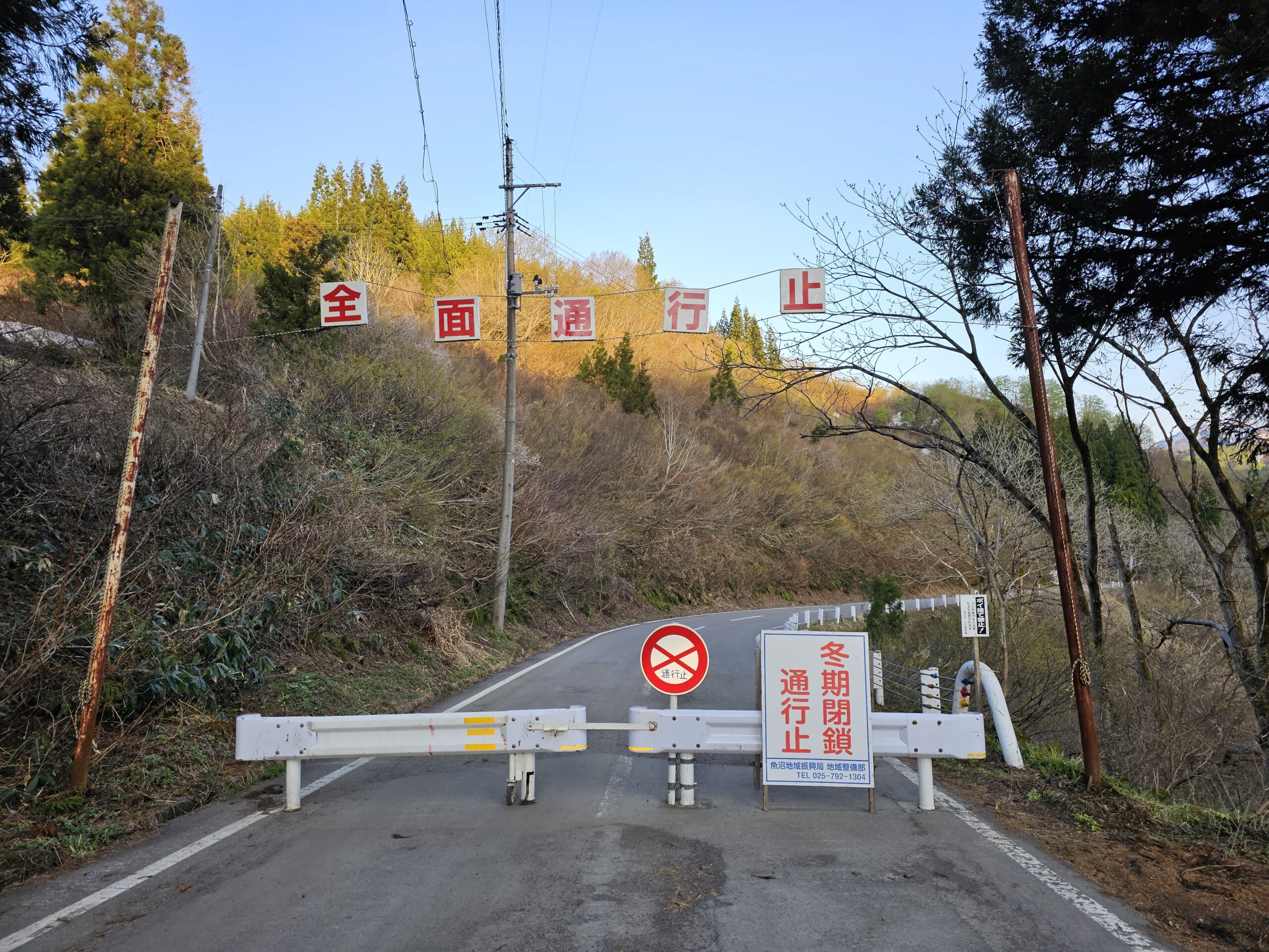 末沢発電所の桜