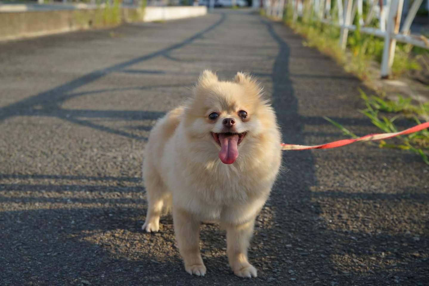 10年前のみゅうだよ
